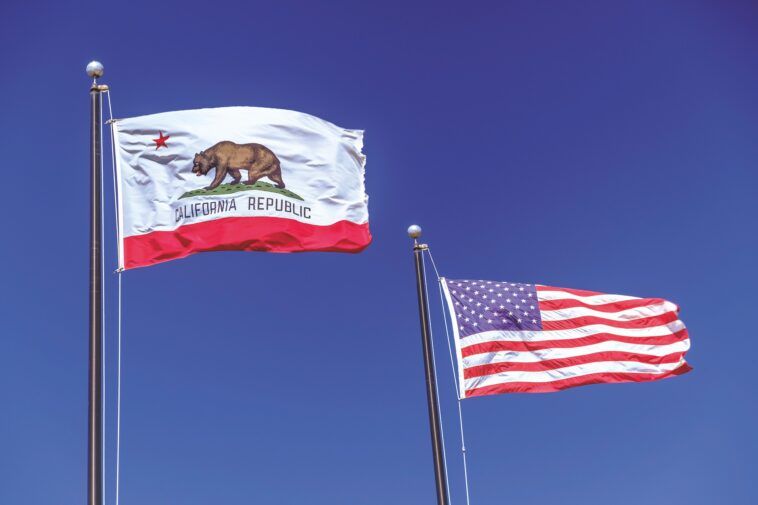 California Flags depicting hotels in California